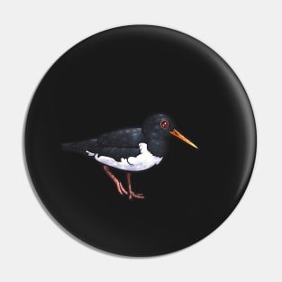 Eurasian Oystercatcher Pin