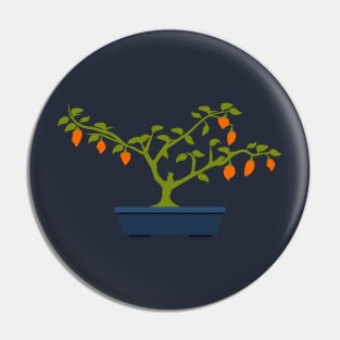 Orange Chili Bonsai in Blue Bonsai Pot Pin