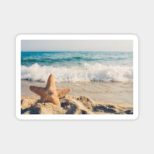 Beach with starfish photograph Magnet