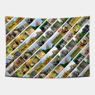 African Wildlife Stripe Collage White Tapestry