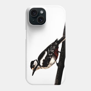 Great spotted woodpecker Phone Case