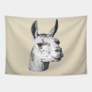 Guanaco head Tapestry