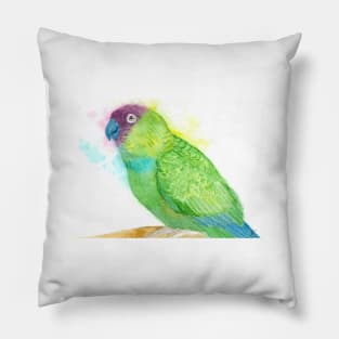 Watercolor nanday parakeet portrait - bird painting Pillow