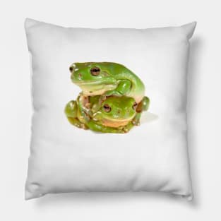 Green tree frogs, one on top of the other Pillow