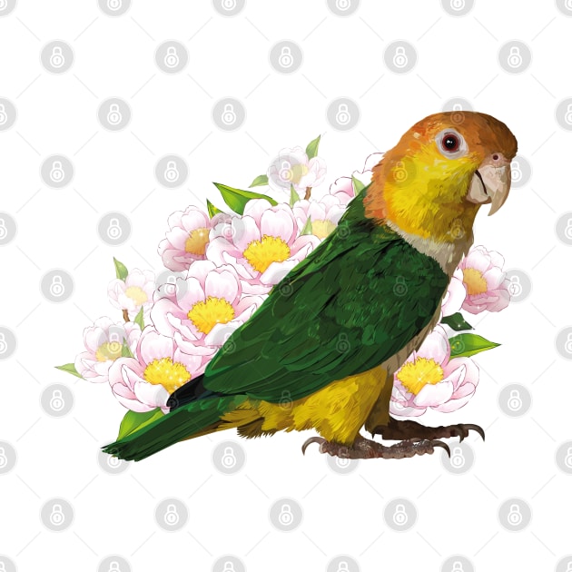 caique by obscurite