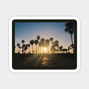 Venice Beach Sunset Lens Flare Magnet