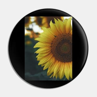 sunflower plant Pin