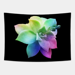 rainbow succulent juicy plant botanical nature Tapestry