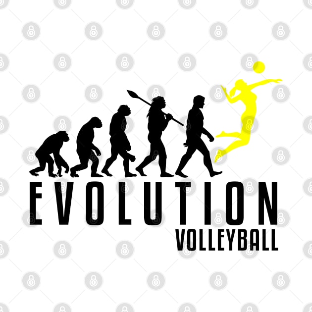 Volleyball Evolution by songolas