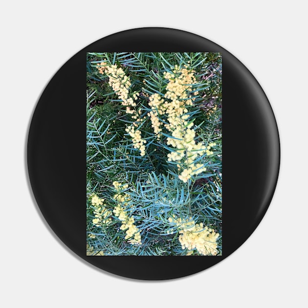 Wattle Pin by aureliaazreal