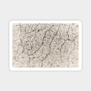 White Cracked Concrete Surface Magnet