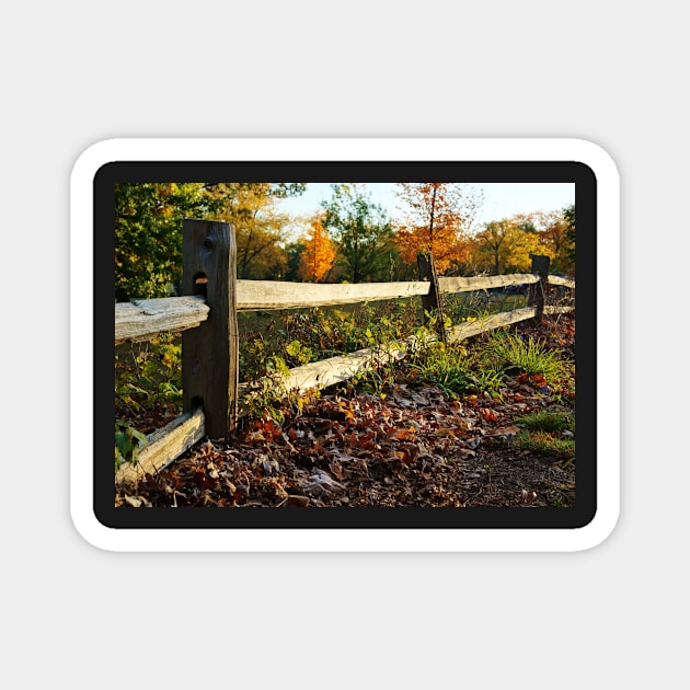 Rustic Wooden Fence in Autumn Magnet by 1Redbublppasswo