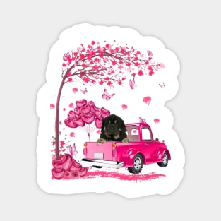 Valentine's Day Love Pickup Truck Tibetan Mastiff Magnet