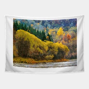 San river in bieszczady Tapestry