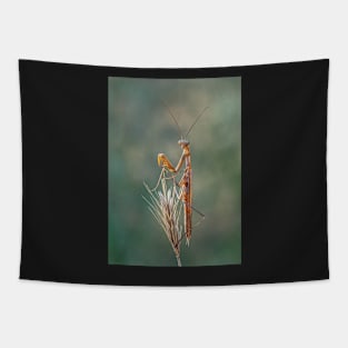 European Praying Mantis Tapestry