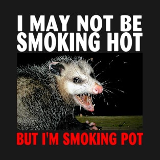 Opossum I May Not Be Smoking Hot But I'm Smoking Pot T-Shirt