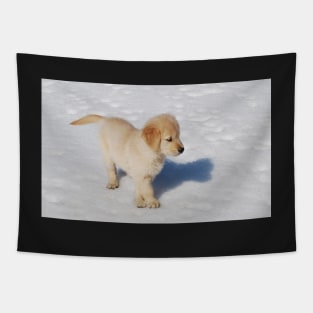 "Golden Retriever Puppy's First Winter" Tapestry