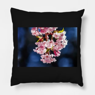 Cherry blossoms with blue bokeh Pillow