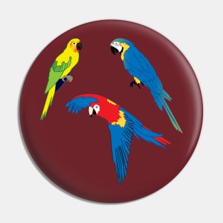 Tropical parrots, wildlife, nature, Carribean Islands Pin