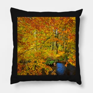 Autumn explodes Pillow