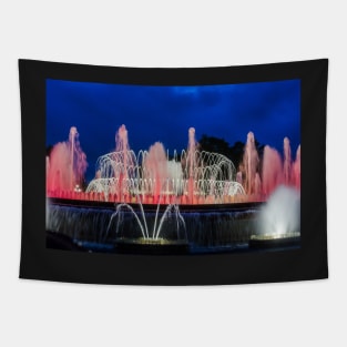 Colorful fountain Tapestry