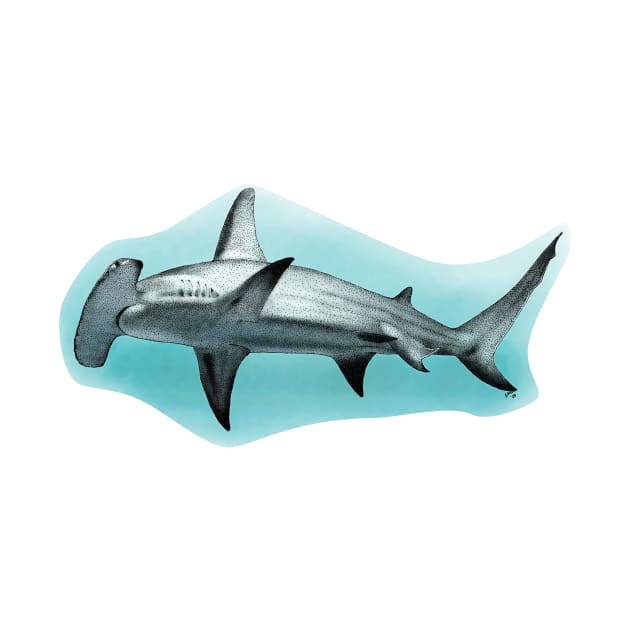Great Hammerhead Shark Illustration by ScienceSource