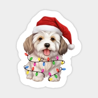 Christmas Coton de Tulear Magnet