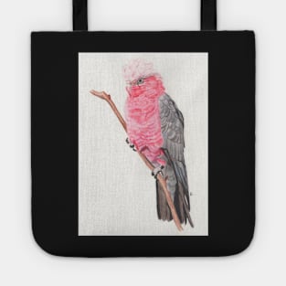 original pencil Drawing of galah Tote