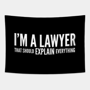 I'm A Lawyer That Should Explain Everything Tapestry