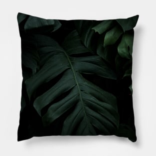 Photo of swiss cheese plant leaves Pillow