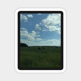 Rolls of Hay near Canadian & USA Border Magnet