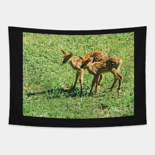 Little Fawns Exploring Tapestry