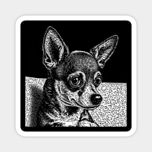 Chihuahua in Pen and Ink Magnet