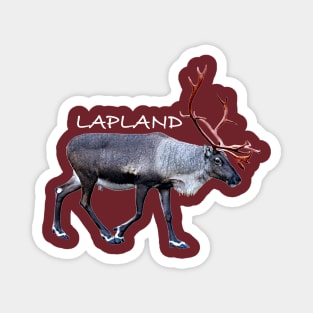Lapland in Finland Magnet