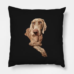 Weimaraner Pillow