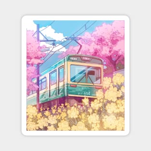 The Japanese spring travel and the cherry blossom Magnet