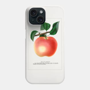 Belle De Boskoop Apple Lithograph (1900) Phone Case