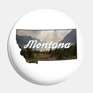 Montana State Pin
