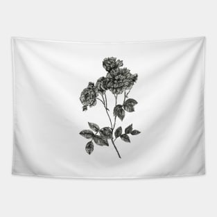 Peony flower stem - B&W Tapestry