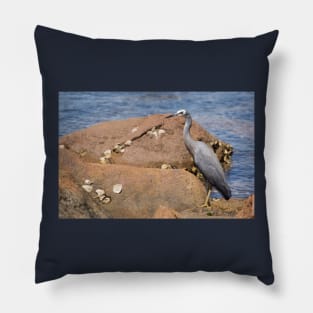 heron at the beach Pillow