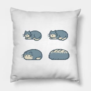 Cat Bread Loaf Evolution Pillow