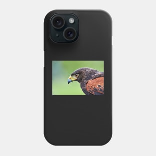 Harris Hawk Phone Case