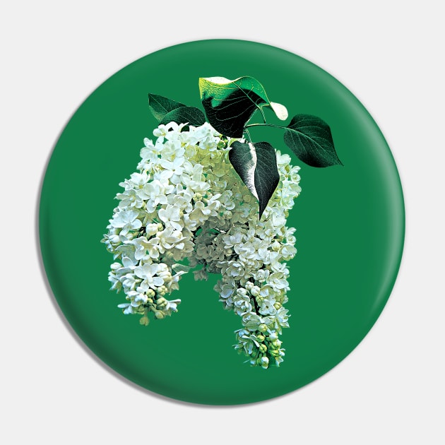 Lilacs - White Lilacs Pin by SusanSavad