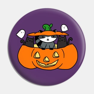 Halloween Black Cats and Raccoon Pin