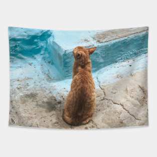 Orange Cat Tapestry