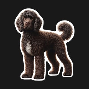 American Water Spaniel T-Shirt