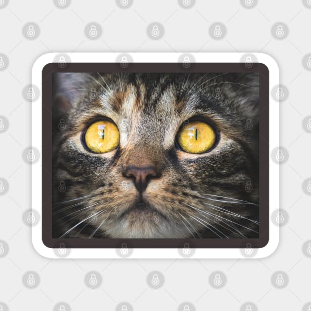 face mask cat mouth design Magnet by Theblackberry