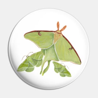 Luna and Showy Emerald Moths Pin