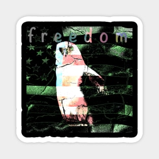 freedom Magnet