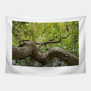 gnarled branches Tapestry